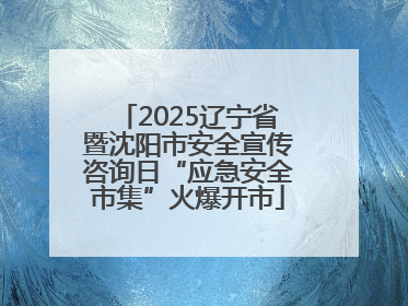 2025辽宁省暨沈阳市安全宣传咨询日“应急安全市集”火爆开市